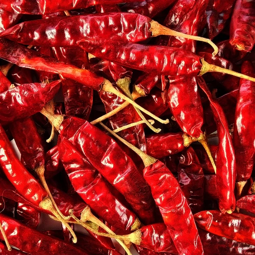 Chilli