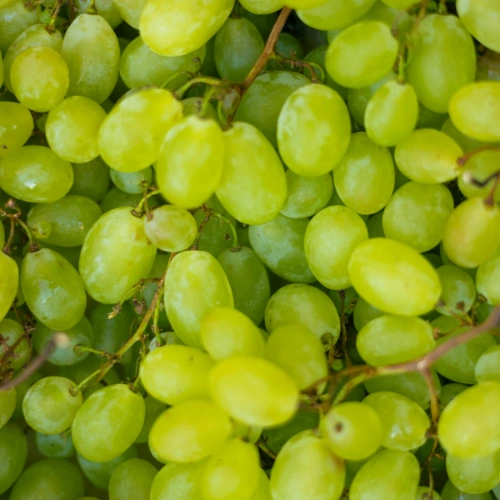 Grapes